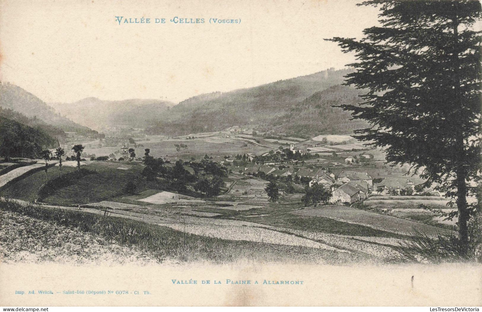 FRANCE - Vallée De Celles - Vallée De La Plaine à Allarmont - Carte Postale Ancienne - Saint Die