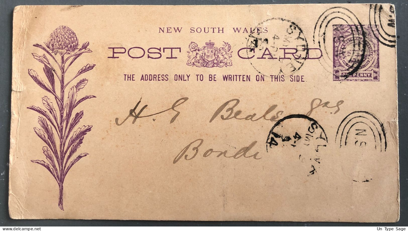 New South Wales, Entier-carte 9.5.1893 - (B2596) - Lettres & Documents