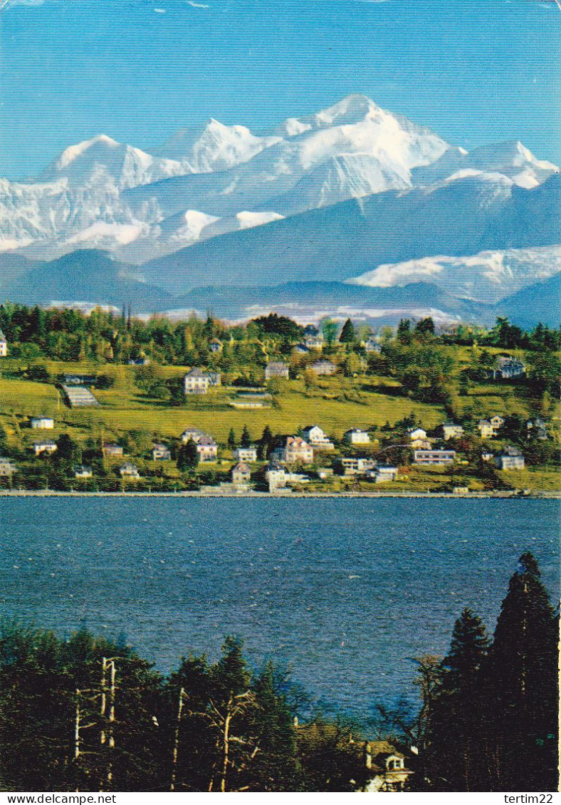 GENEVE . SUISSE . LE MONT BLANC ET LE COTEAU DE COLOGNY - Cologny