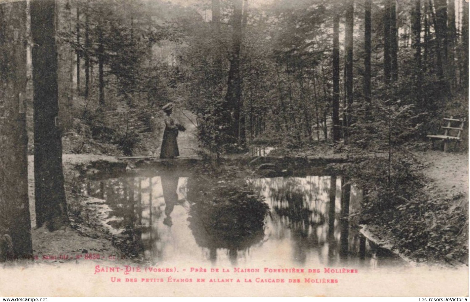 FRANCE - Saint Dié (Vosges) - Près De La Maison Forestière Des Molières - Un Des Petits étangs - Carte Postale Ancienne - Saint Die