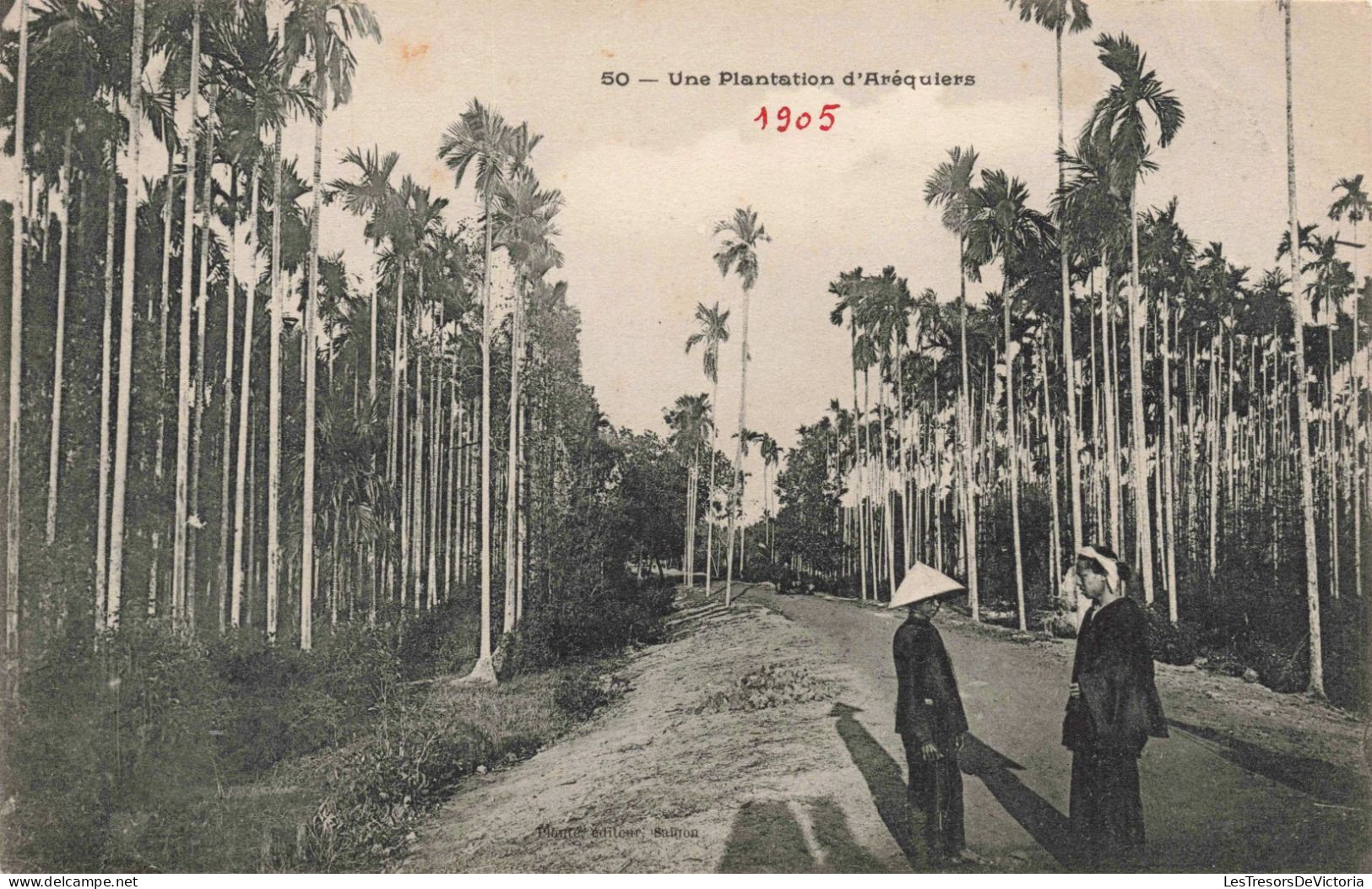 Viet Nam - Saïgon - Une Plantation D'aréquiers - Animé - Carte Postale Ancienne - Vietnam