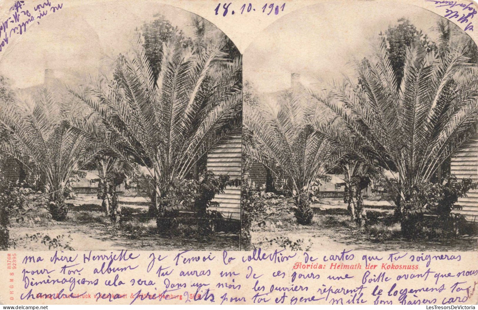 Carte Stéréoscopique - Florida Heimath Der Kokosnuss - Carte Postale Ancienne - Stereoscopische Kaarten