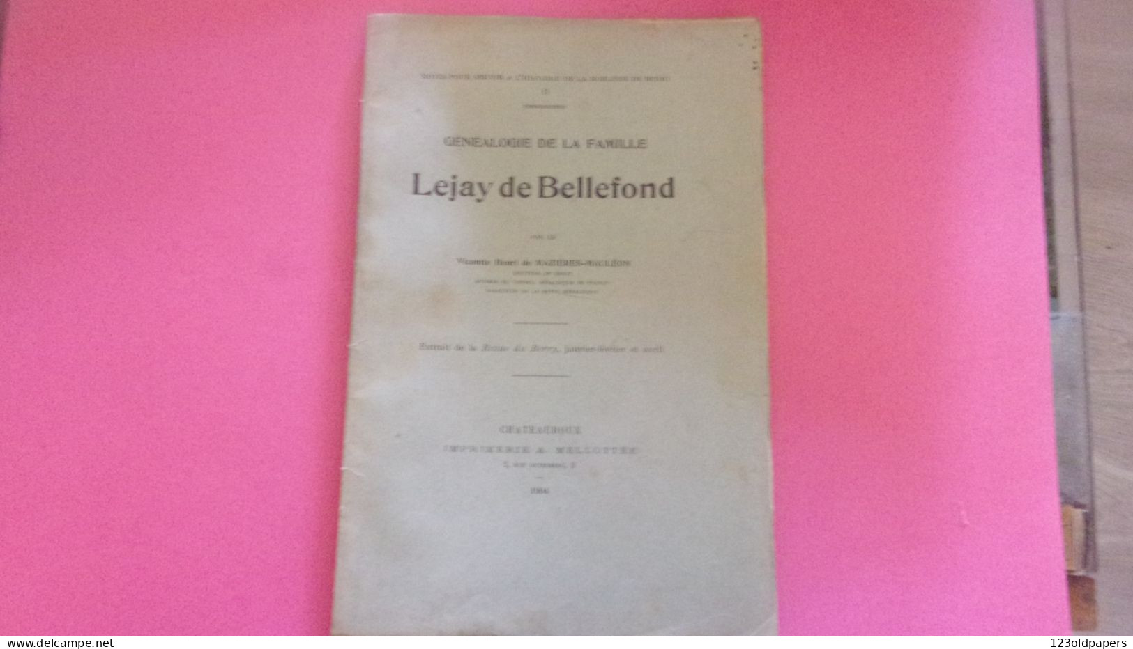 BERRY INDRE 1904 GENEALOGIE DE LA FAMILLE LEJAY DE BELLEFOND PAR VICOMTE DE MAZIERES MAULEON ROMSAC NOBLESSE DE BERRY - 1901-1940