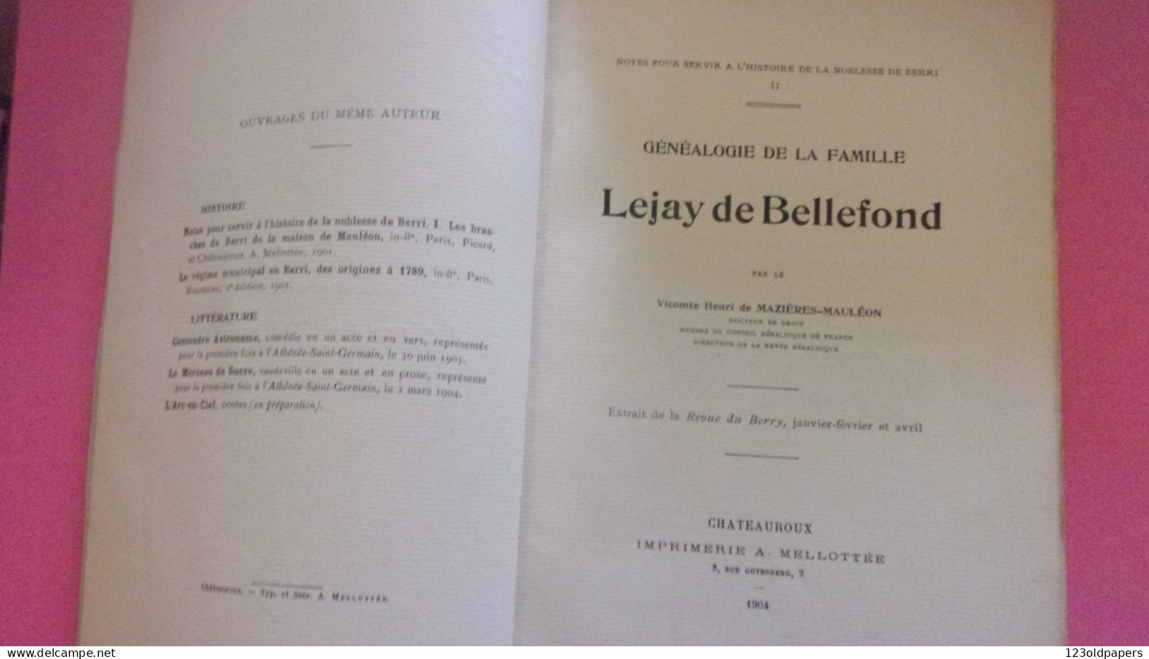 BERRY INDRE 1904 GENEALOGIE DE LA FAMILLE LEJAY DE BELLEFOND PAR VICOMTE DE MAZIERES MAULEON ROMSAC NOBLESSE DE BERRY - 1901-1940