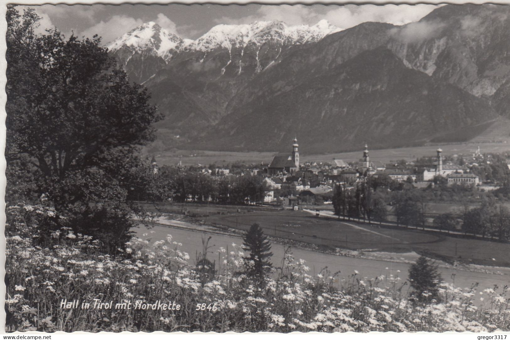 D3644) HALL In Tirol Mit Nordkette - Blumenwiese Im Vordergrund ALT - Hall In Tirol