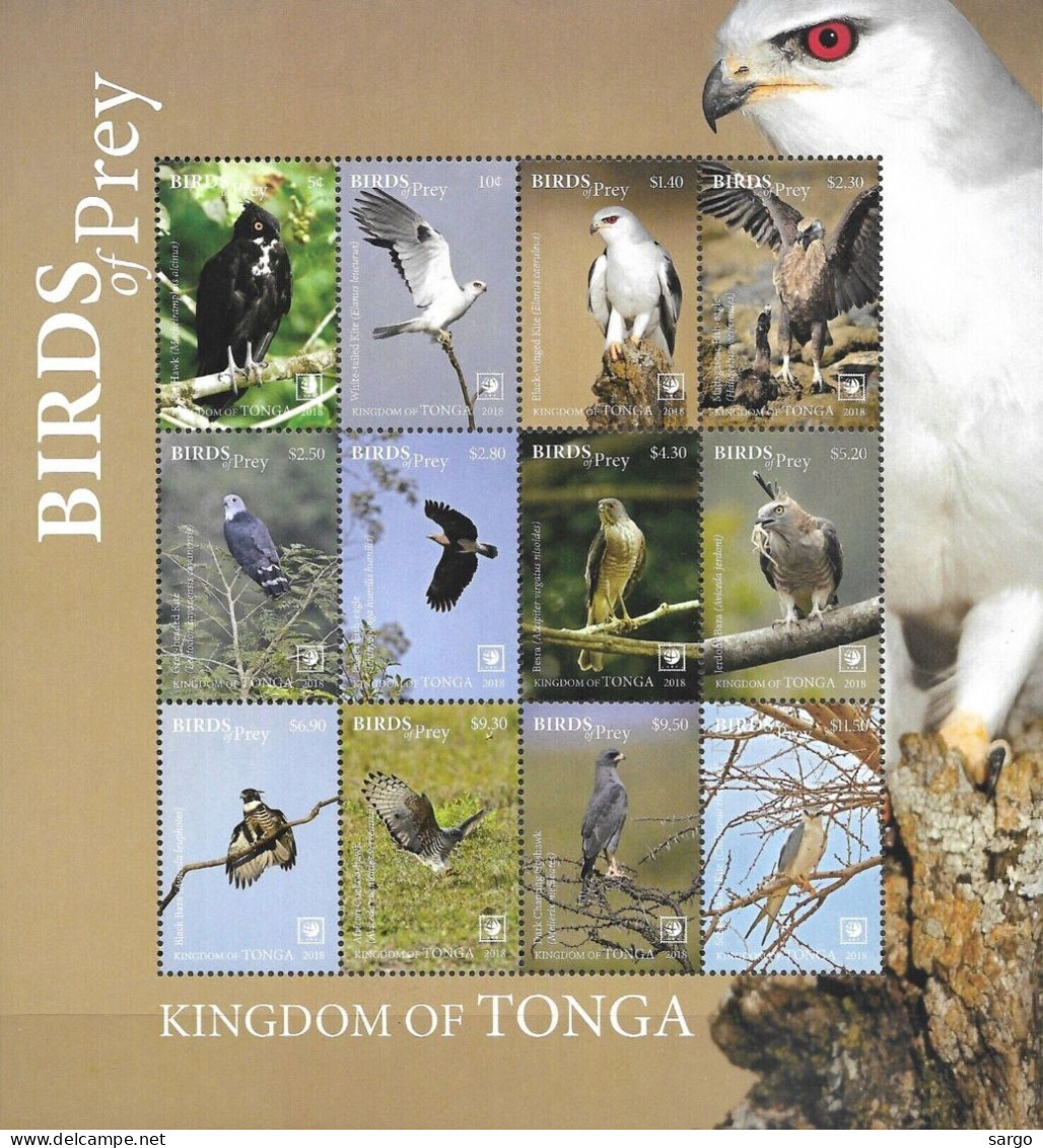 TONGA   - 2018 - BIRDS - UCCELLI - ANIMALS - BIRDS OF PREY  - 12 V. -  MNH - - Aigles & Rapaces Diurnes