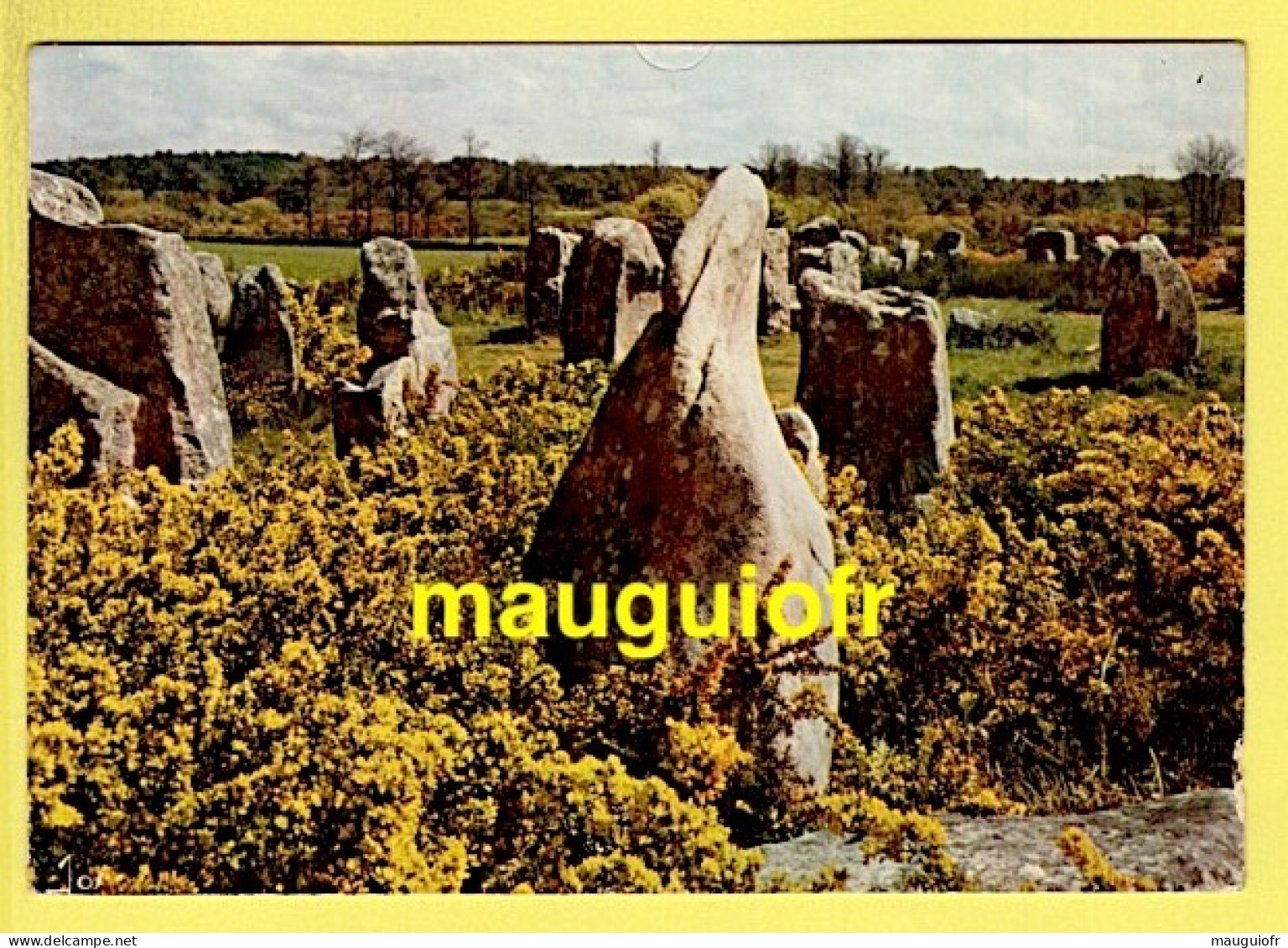 56 MORBIHAN / ERDEVEN / MONUMENTS MEGALITHIQUES - MENHIRS / 1974 - Erdeven