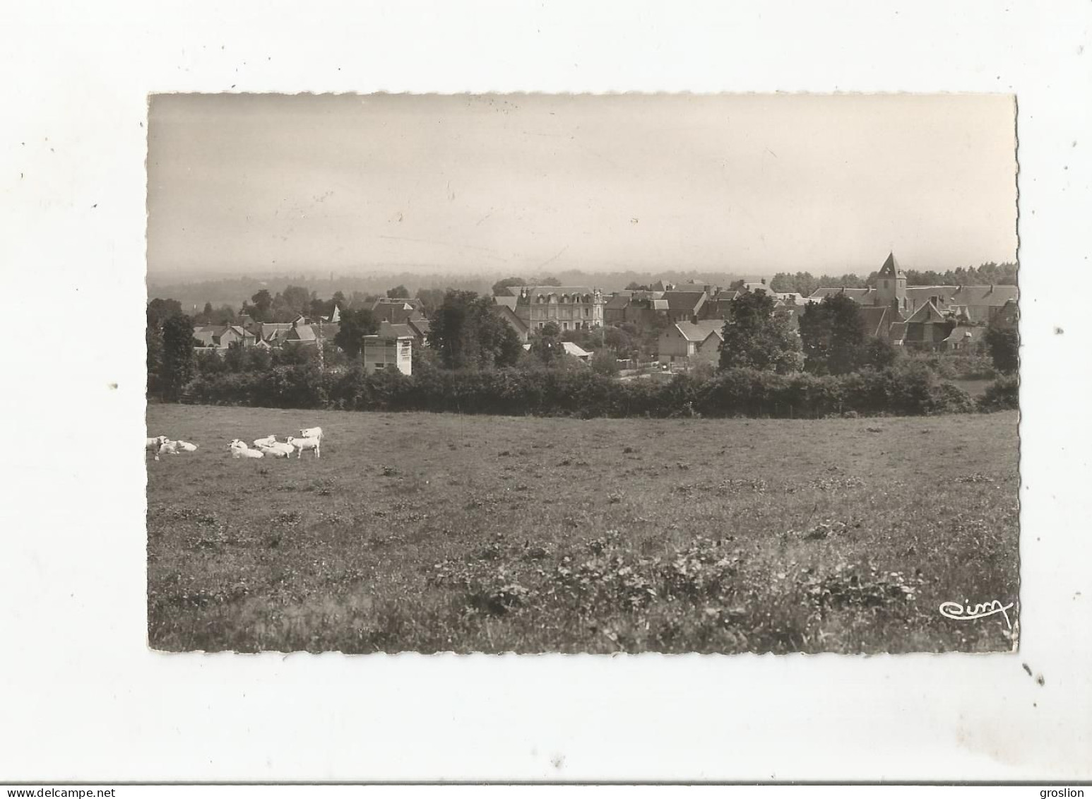 PREVERANGES (CHER) CARTE PHOTO VUE GENERALE (EGLISE CHATEAU HABITATIONS) - Préveranges