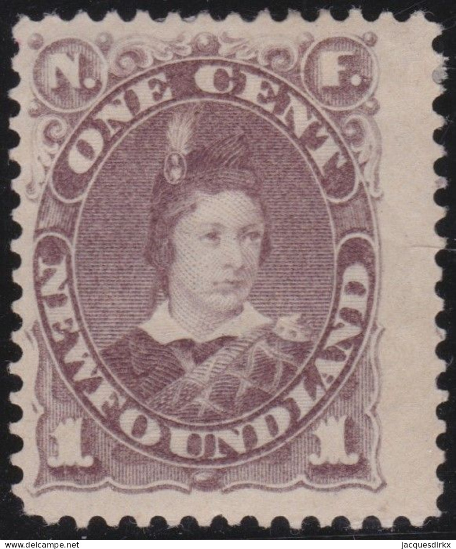 Newfoundland      .    SG  .  44  (2 Scans)      .     *       .    Mint-hinged With Gum - 1865-1902