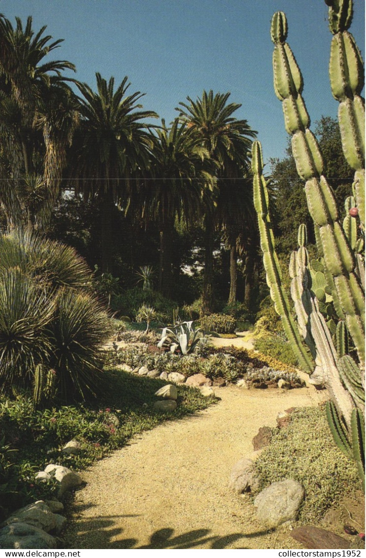 CALIFORNIA, CACTUS GARDEN, HISTORIC RANCH AND GARDENS, LONG BEACH, UNITED STATES - Cactusses