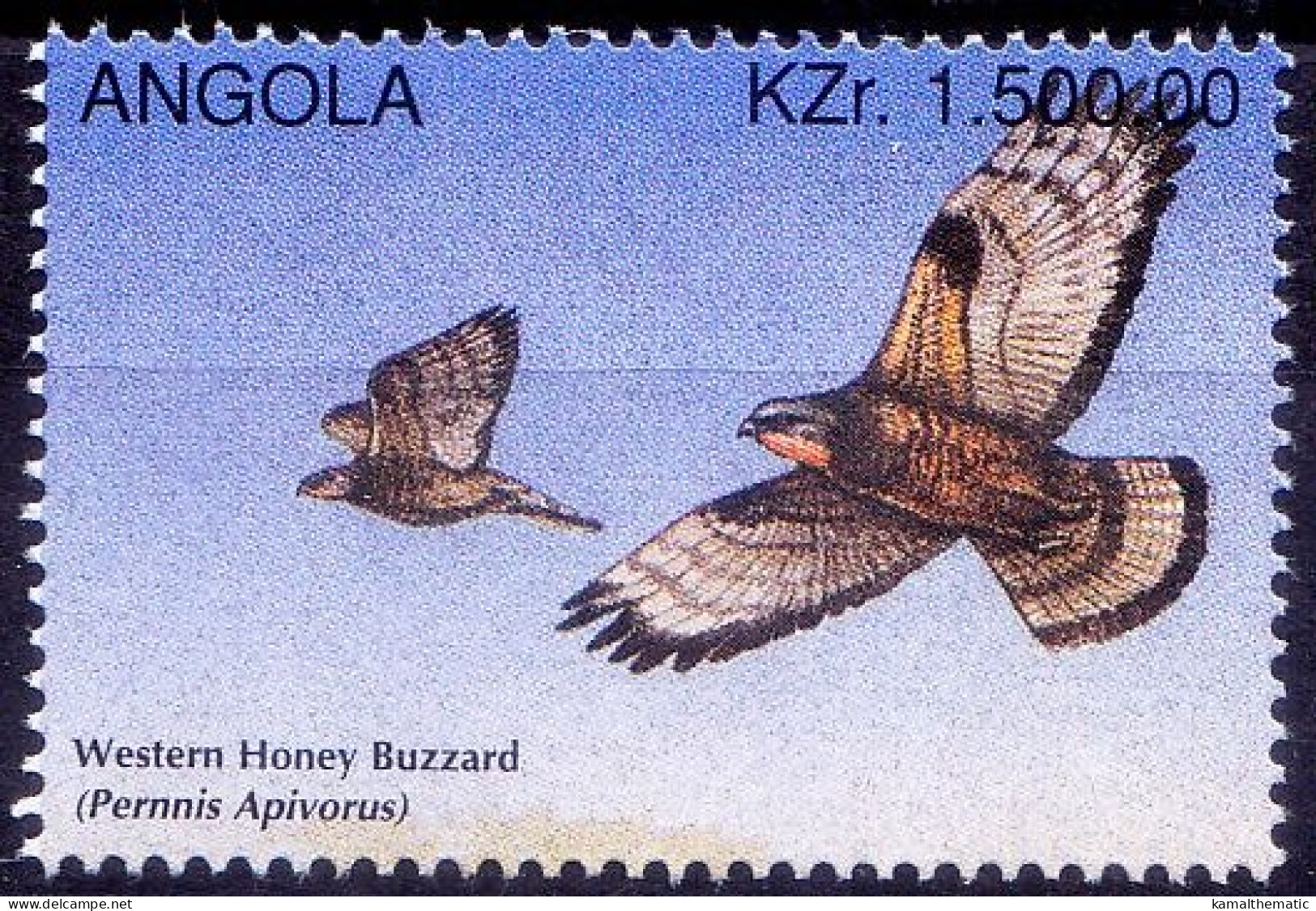 Angola 1996 MNH, Birds Of Prey, Raptors, Western Honey Buzzard - Aigles & Rapaces Diurnes