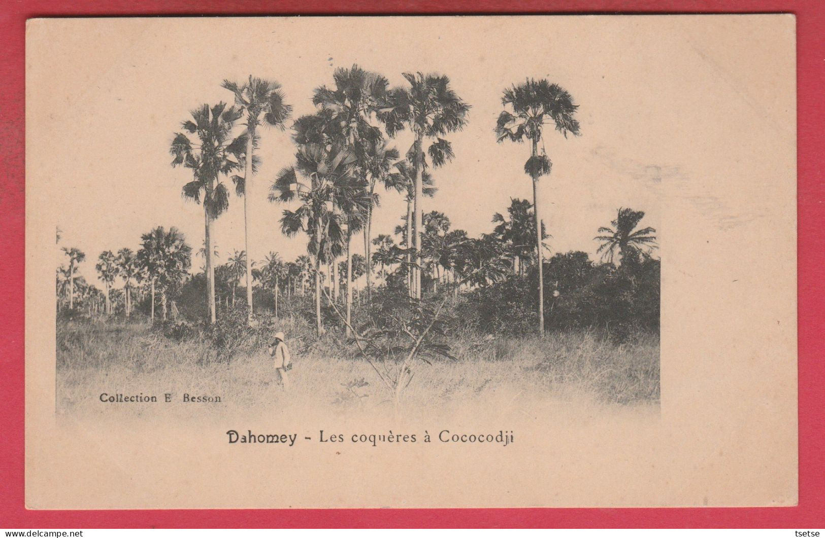 Benin / Dahomey - Les Coquères à Cococodji  ( Voir Verso ) - Benin