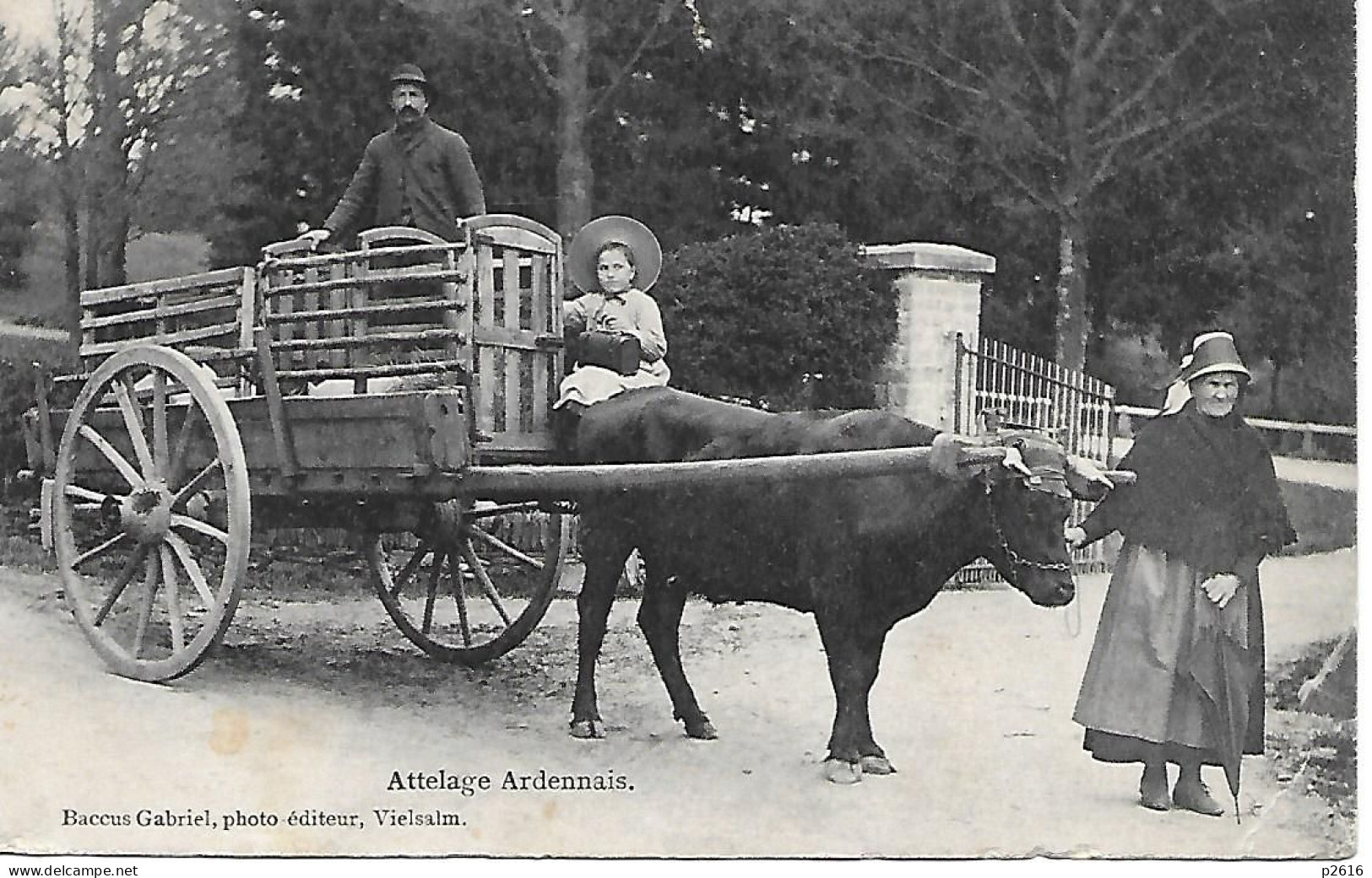 BELGIQUE -  1913 -  ATTELAGE ARDENNAIS - Vielsalm