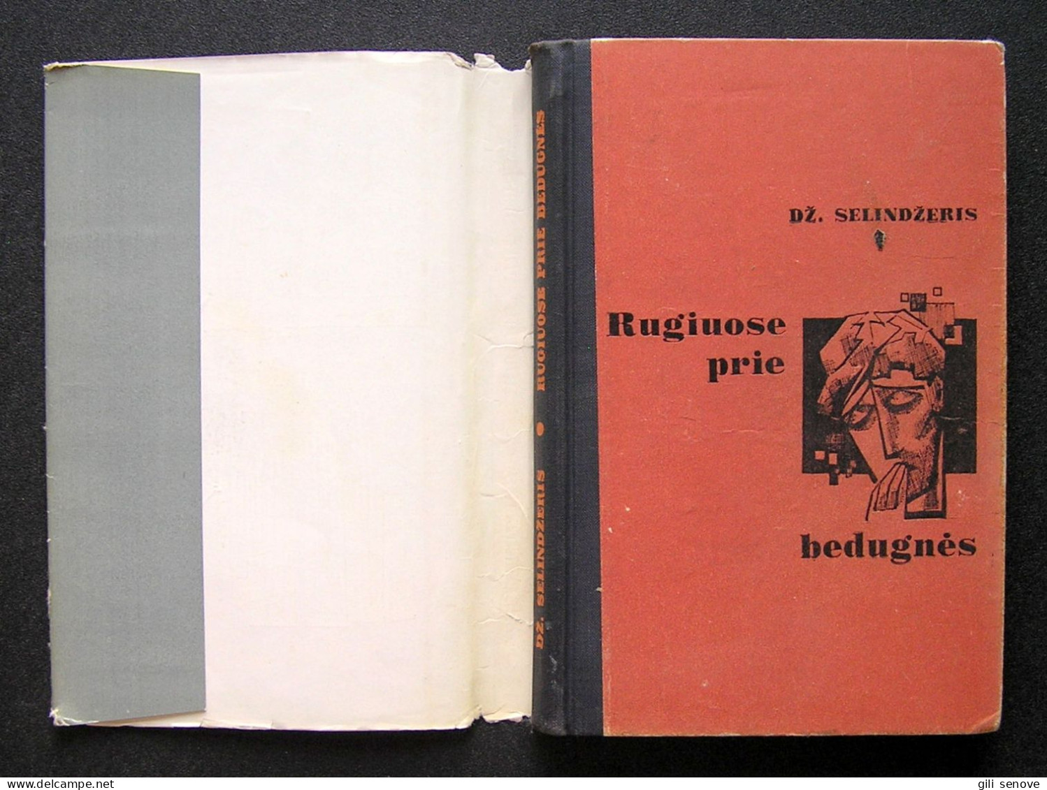 Lithuanian Book / Rugiuose Prie Bedugnės Salinger 1966 - Romans