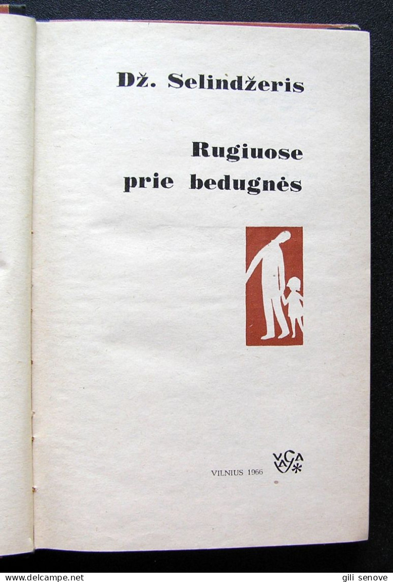Lithuanian Book / Rugiuose Prie Bedugnės Salinger 1966 - Romans