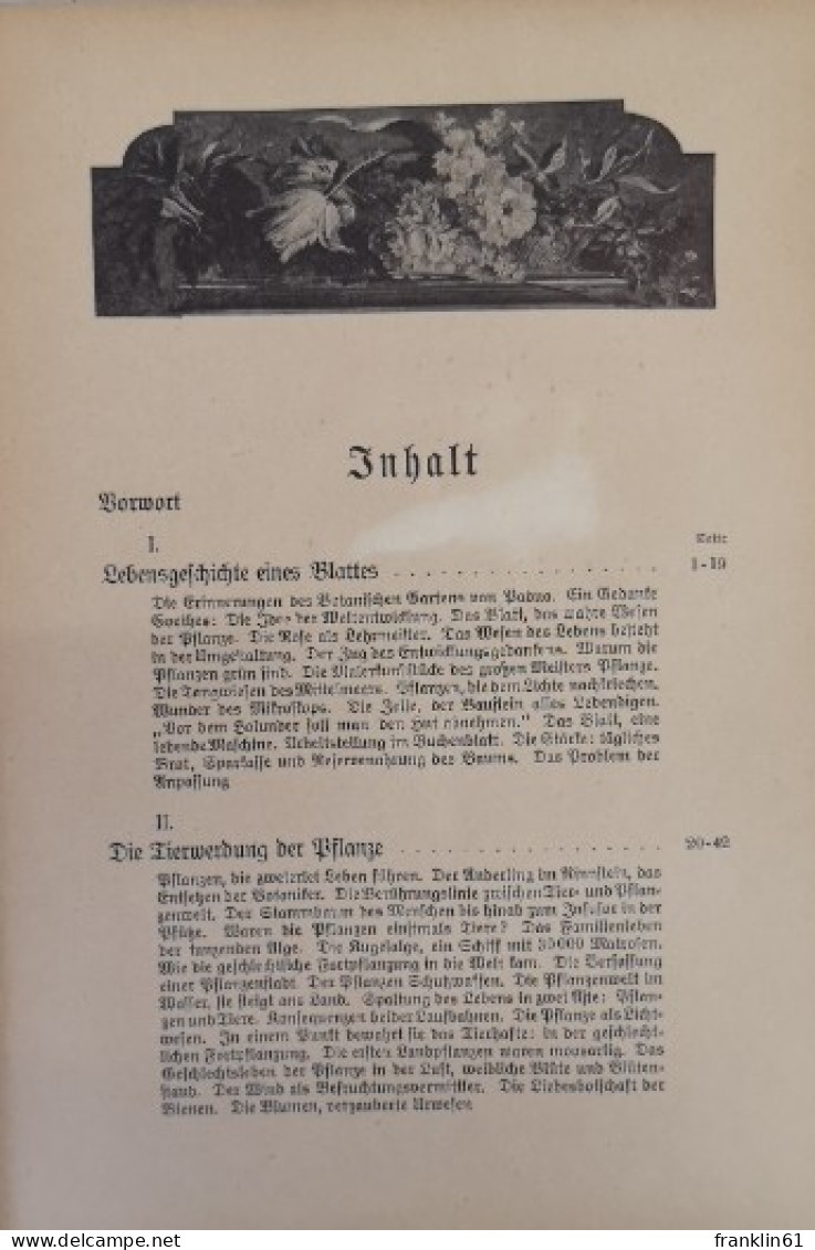 Die Welt Der Pflanze. Eine Vollständige Botanik. - Léxicos