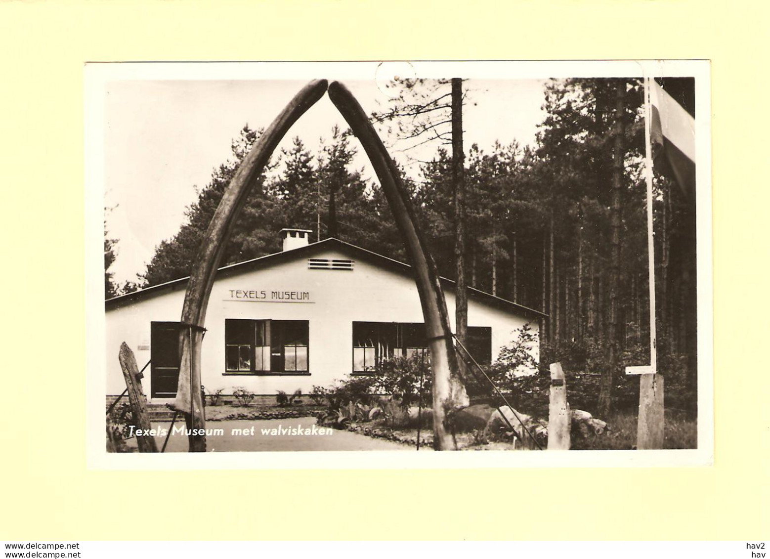 Texel Museum Met Walviskaken 1955  RY31939 - Texel