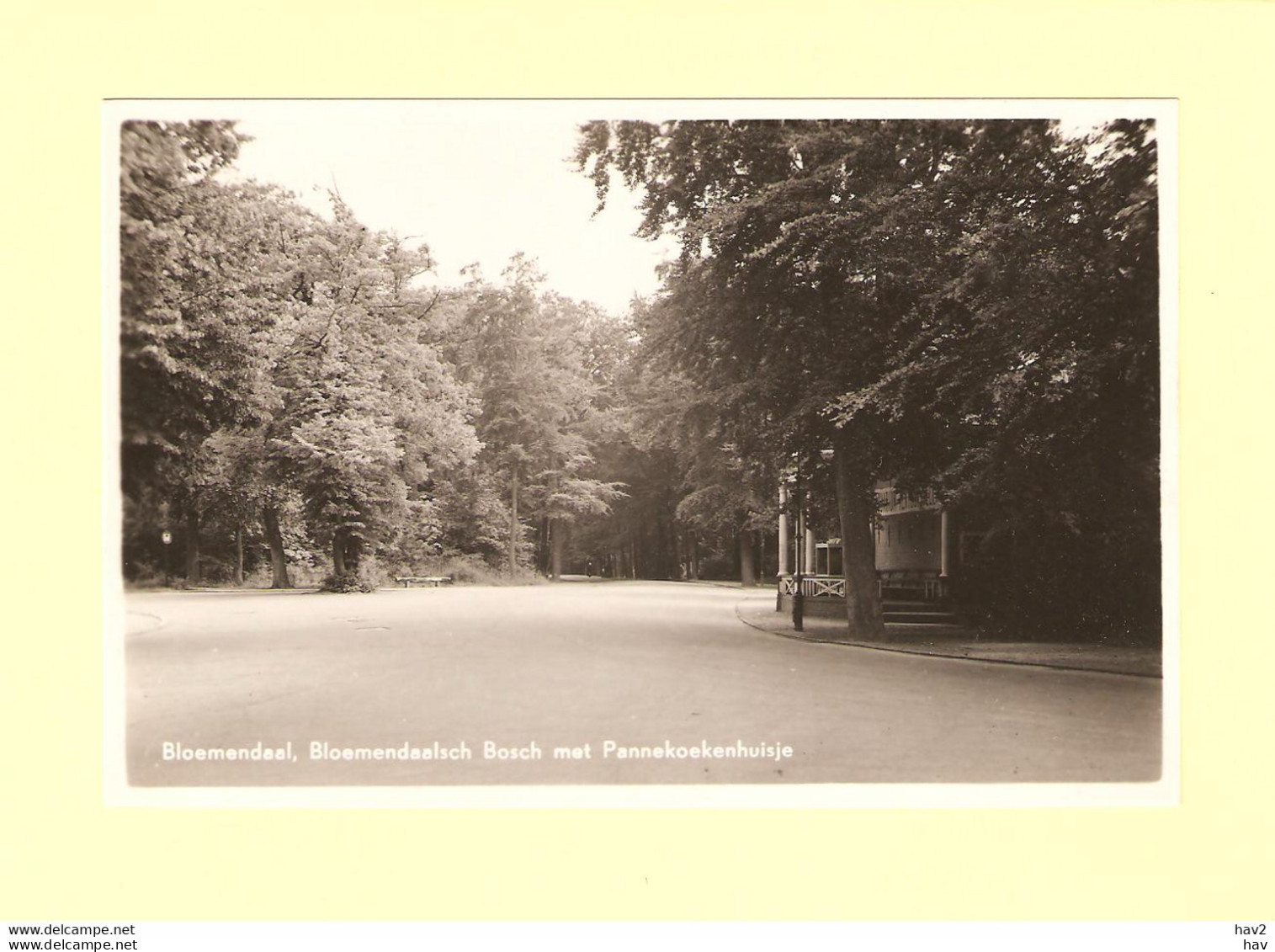 Bloemendaal Bosch Met Pannekoekhuisje RY31705 - Bloemendaal