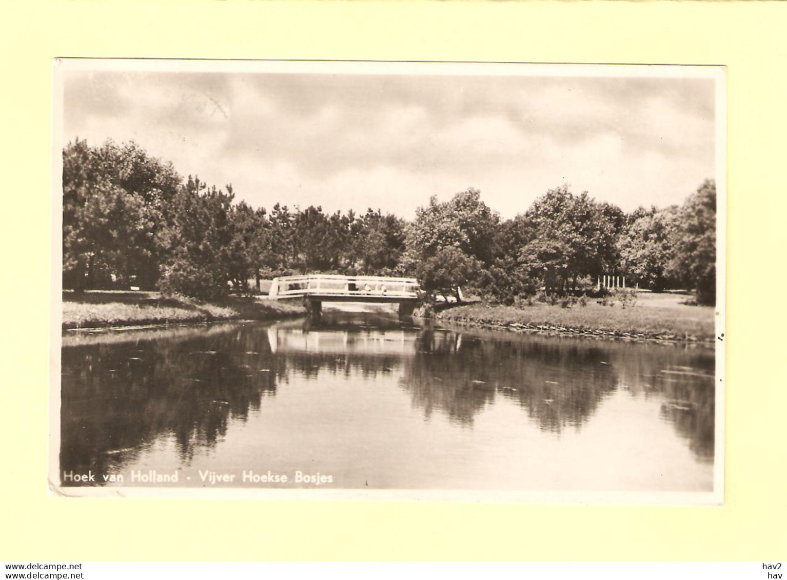 Hoek Van Holland Vijver Hoekse Bosjes1951 RY32920 - Hoek Van Holland