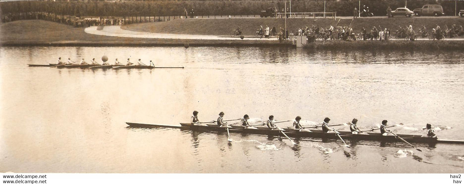 Persfoto Roeien Dames Het Spaarne 1e 1954 KE3014 - Roeisport