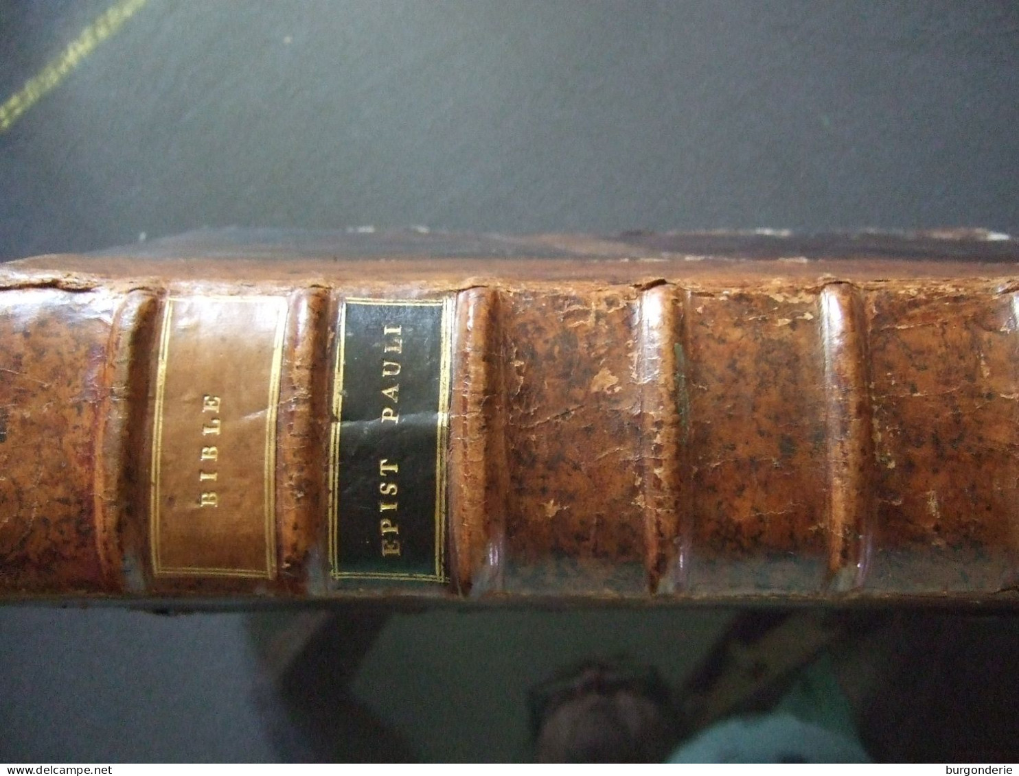 BIBLE / EPIST PAULI DE 1617 - Bis 1700