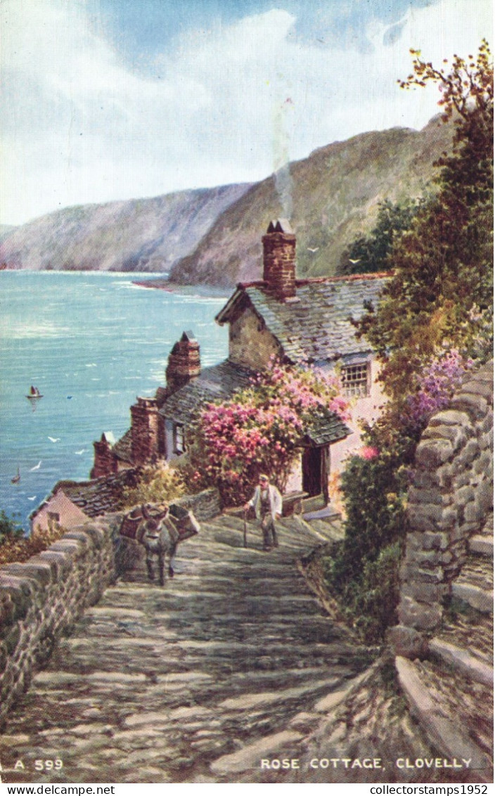 DEVON, CLOVELLY, ROSE COTTAGE, SEA, DONKEY, UNITED KINGDOM - Clovelly