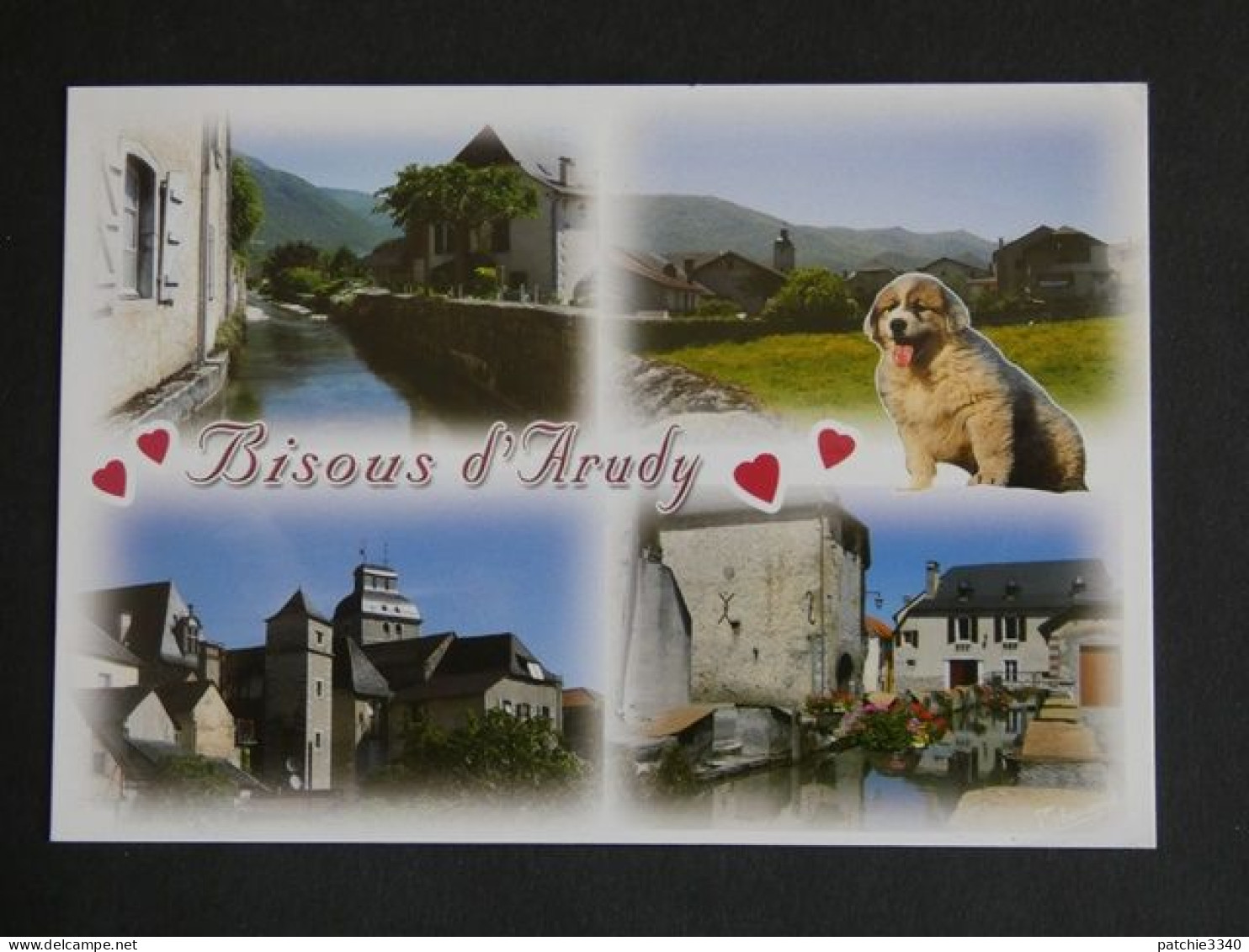 CP 64 - BISOUS D ARUDY - EGLISE - RIVIERE - LAVOIR - CHIEN DES PYRENNEES - Arudy