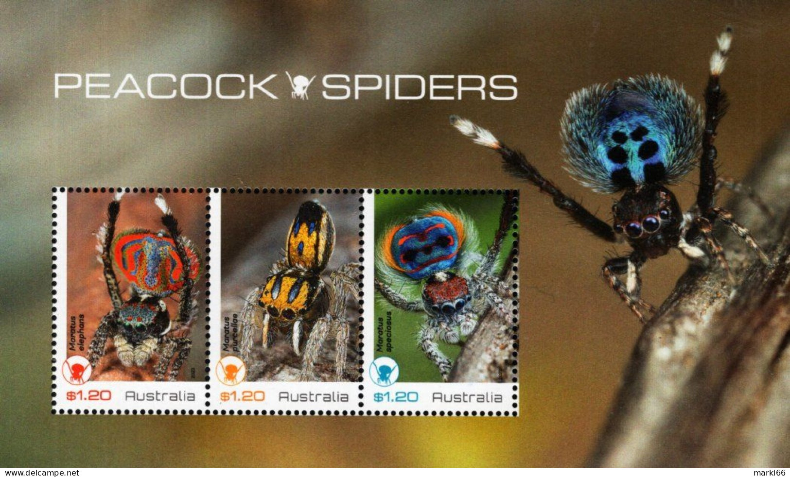 Australia - 2023 - Peacock Spiders - Mint Stamp Sheetlet - Neufs