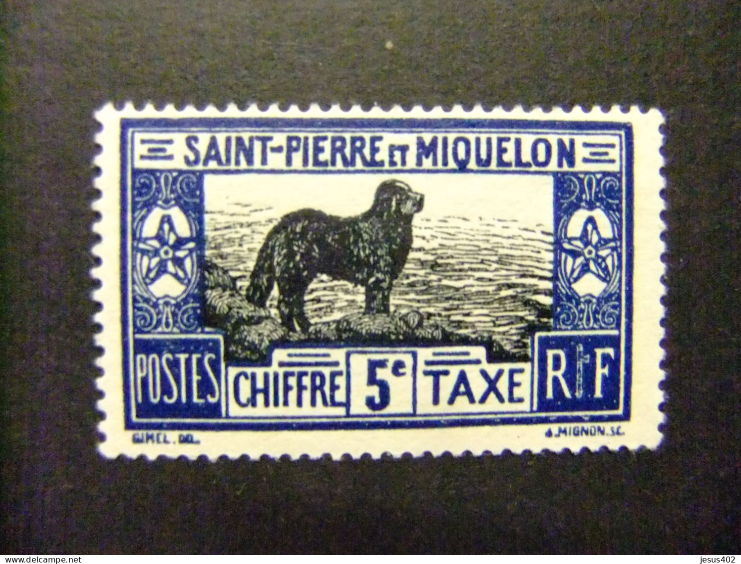 55 SAINT - PIERRE ET MIQUELON 1932 CHIEN DE TERRE-NEUVE YVERT TAX 21 * MH - Impuestos