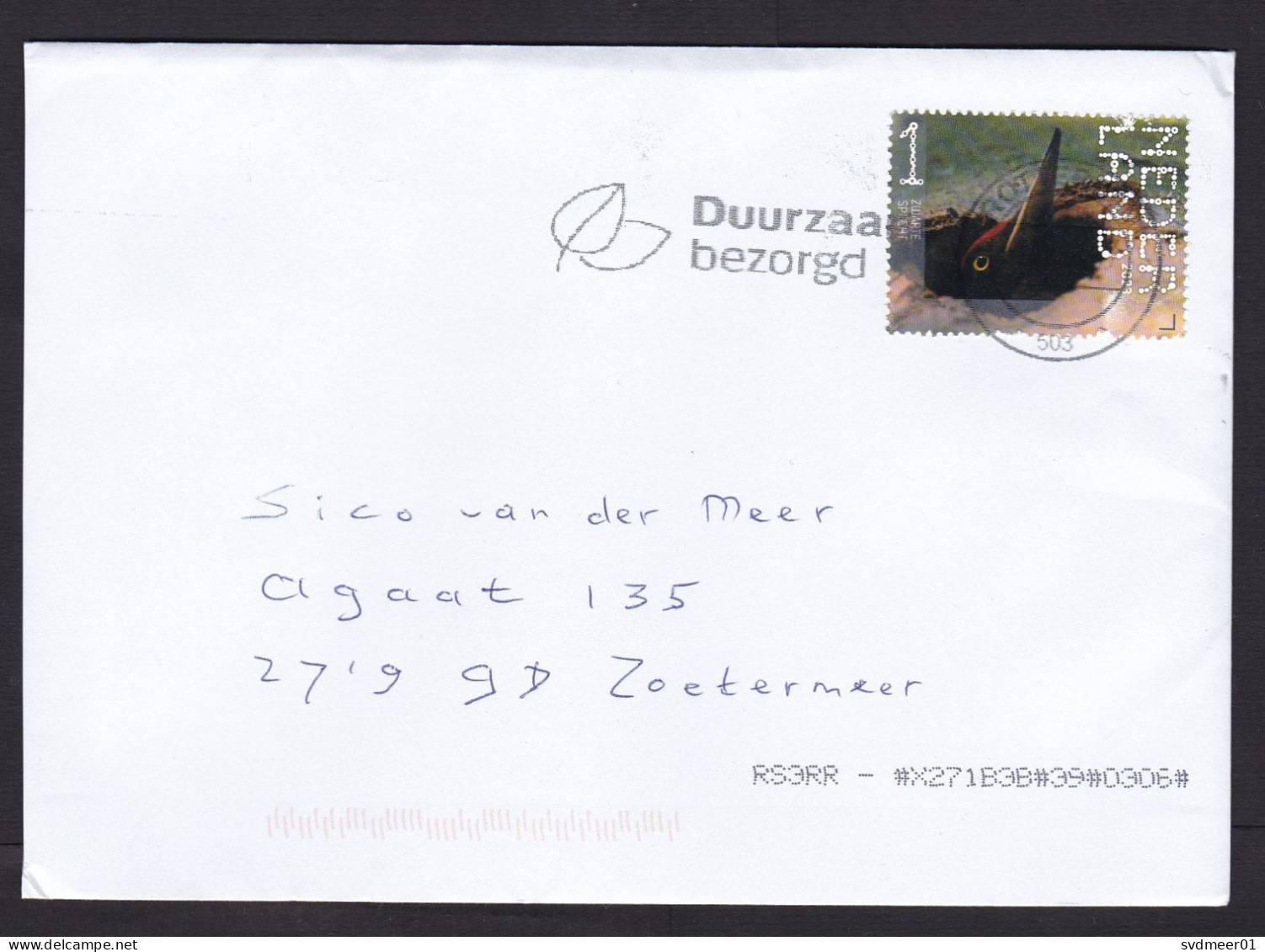 Netherlands: Cover, 2023, 1 Stamp, Black Woodpecker Bird, Animal (traces Of Use) - Storia Postale