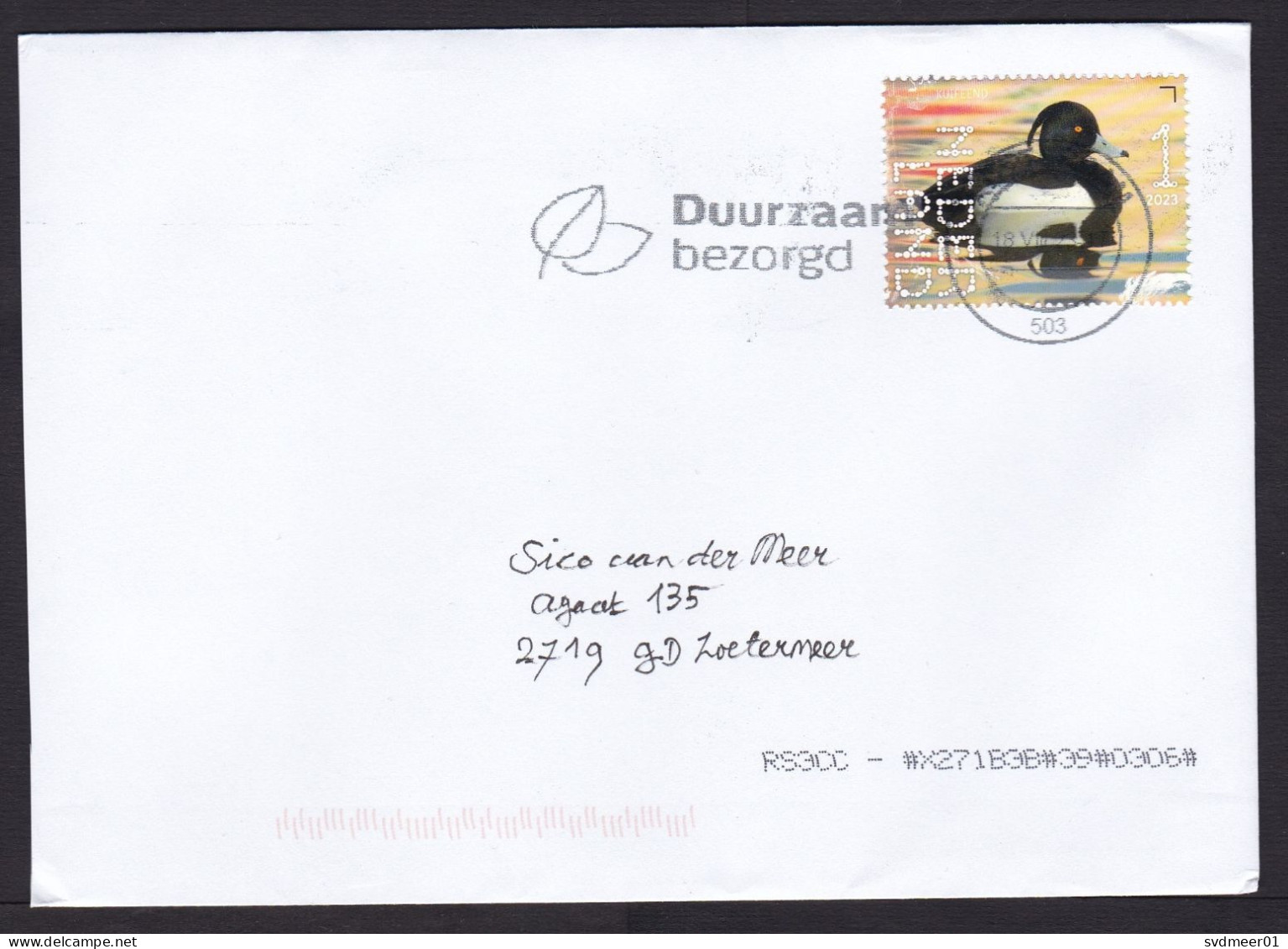 Netherlands: Cover, 2023, 1 Stamp, Tufted Duck, Bird, Animal (traces Of Use) - Briefe U. Dokumente