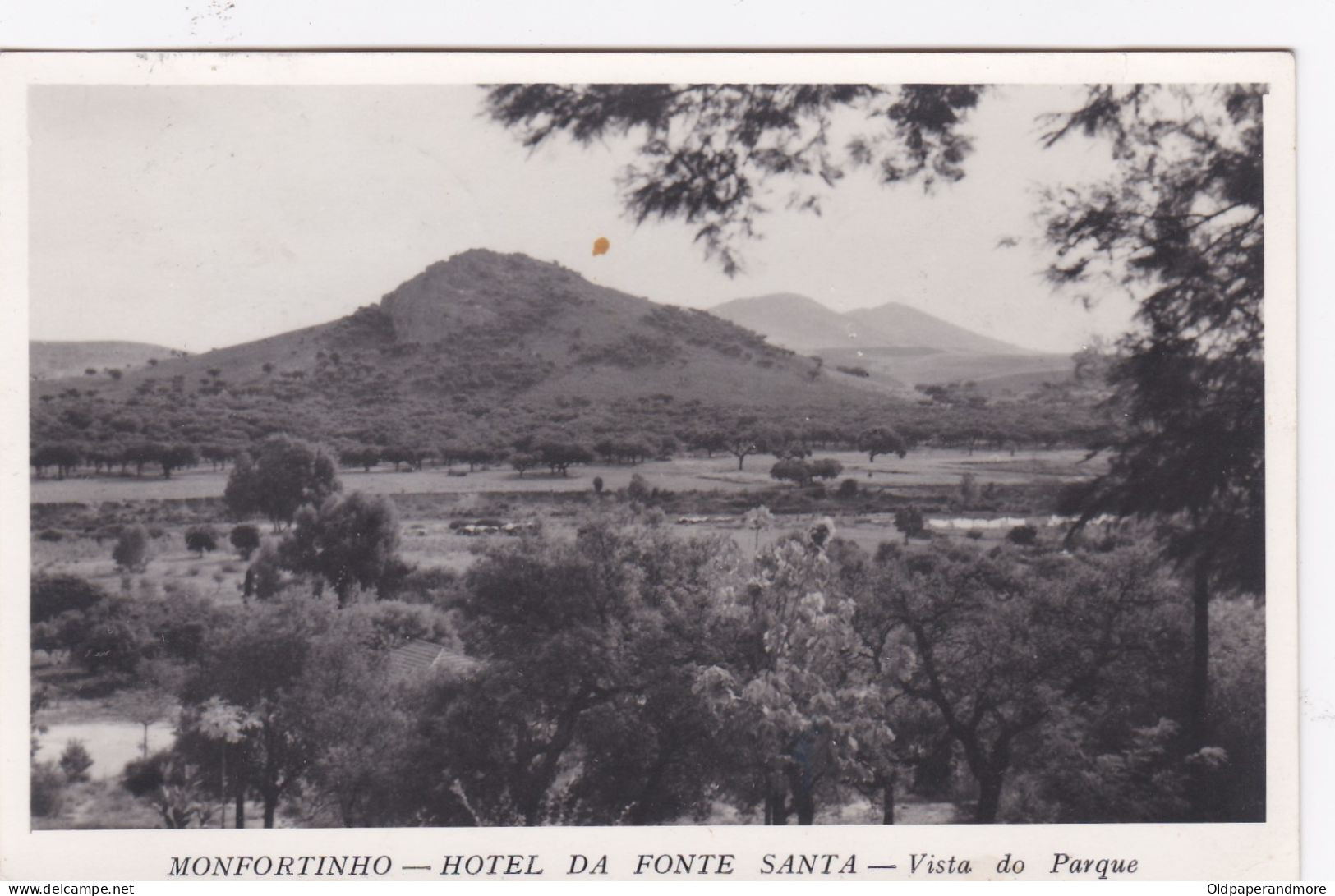 POSTCARD PORTUGAL - MONFORTINHO - HOTEL DA FONTE SANTA - VISTA DO PARQUE - Castelo Branco