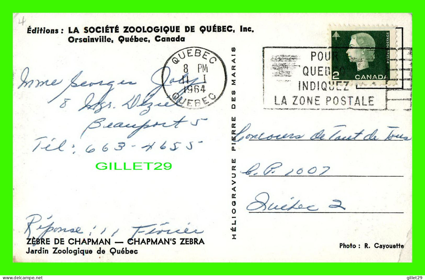 ZÈBRES - LA SOCIÉTÉ ZOOLOGIQUE DE QUÉBEC INC, ORSAINVILLE - ZÈBRE DE CHAPMAN - CIRCULÉE EN 1964 - HÉLIOGRAVURE  MARAIS - Zebra's