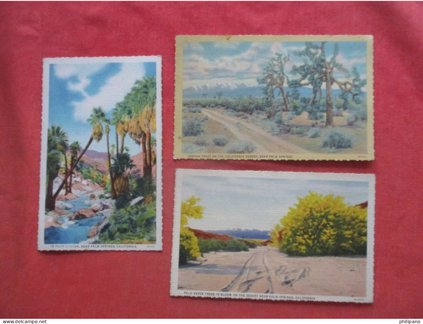 Lot Of 3 Cards-- Publisher Willard.   Palm Springs  California > Palm Springs  Ref 6167- - Palm Springs