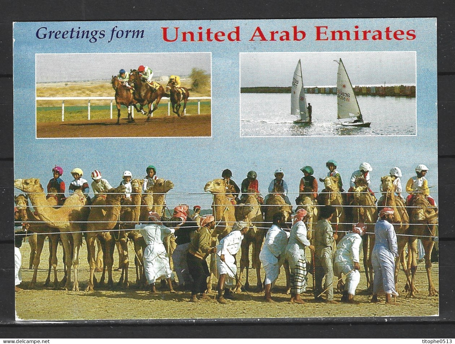 EMIRATS ARABES UNIS. Carte Postale Ayant Circulé. Races In U.A.E.. - United Arab Emirates