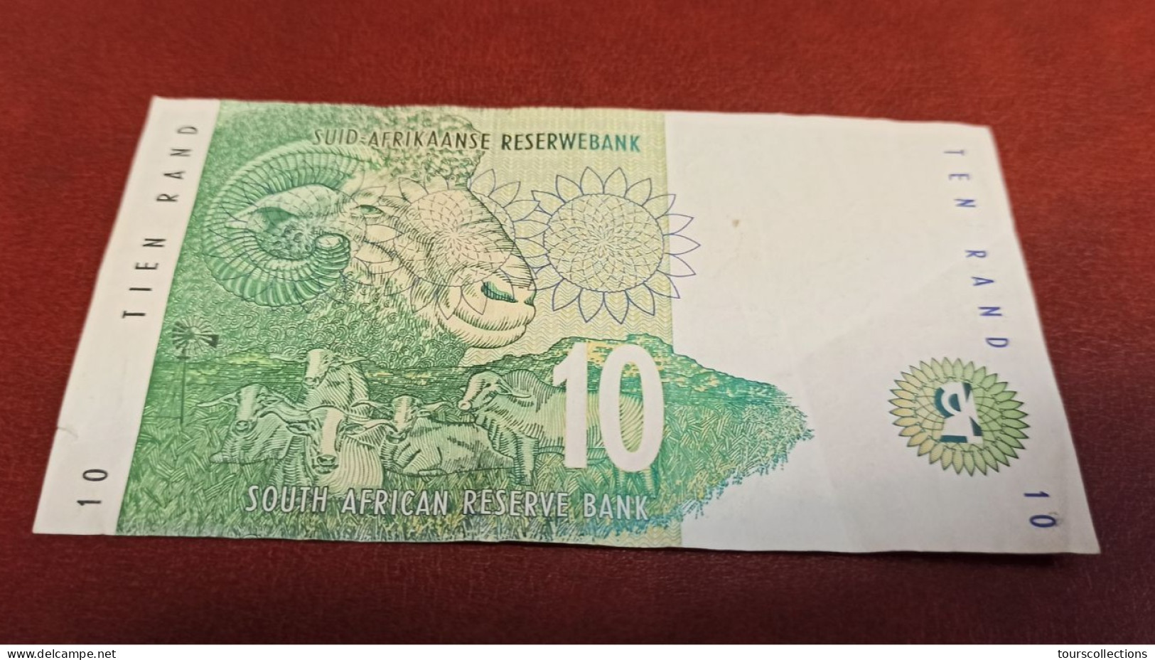 BILLET AFRIQUE DU SUD De 1993 - South Africa Rhinocéros TEN RAND - FH5743944A - Signature C.L Stals De 1993 - South Africa