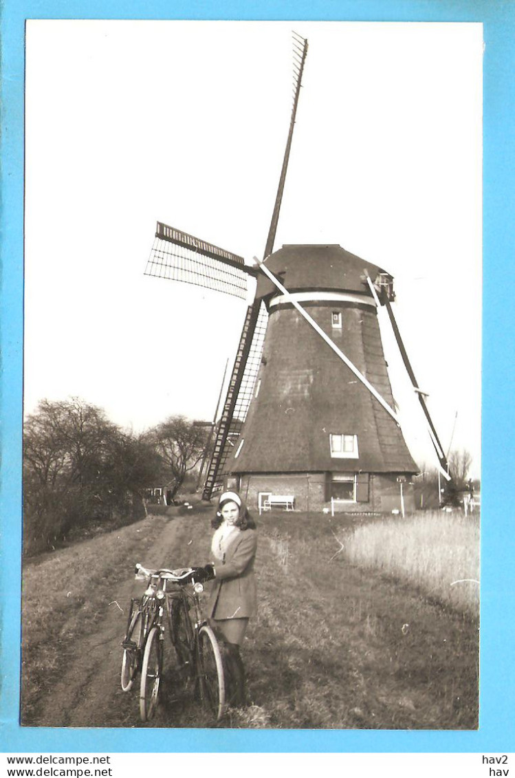 Kinderdijk Molen Repro ML2312 - Kinderdijk