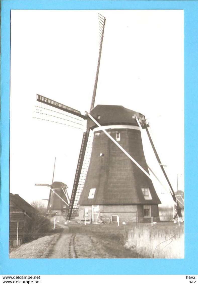 Kinderdijk Molen Foto/repro ML2810 - Kinderdijk