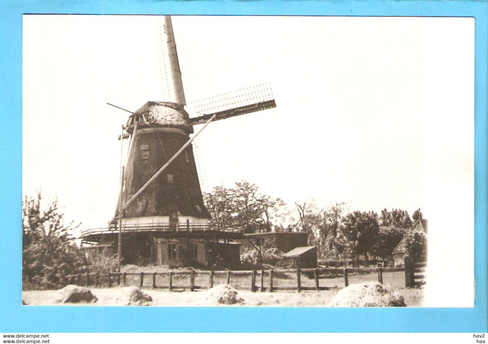 Hoorn Molen De Gouden Korenaar Foto/repro ML2886 - Hoorn