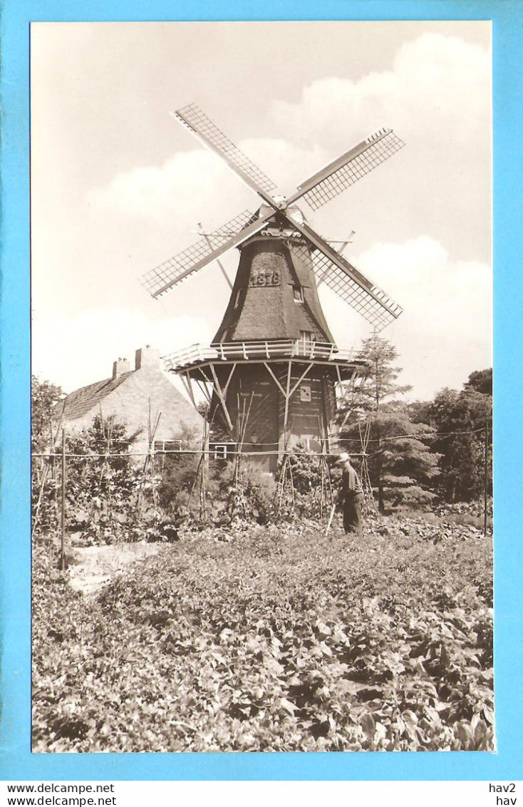 Norg Molen Noordenveld ML1844 - Norg