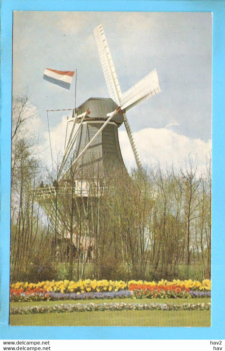 Lisse Keukenhof HAL Molen ML2365 - Lisse