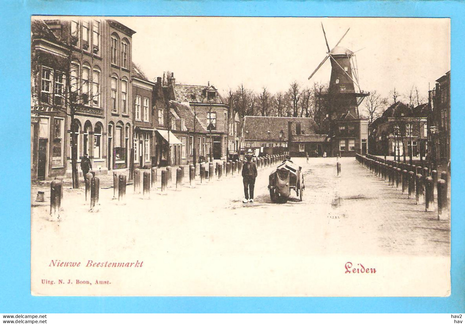 Leiden Nieuwe Beestenmarkt Molen 1901 RY56312 - Leiden