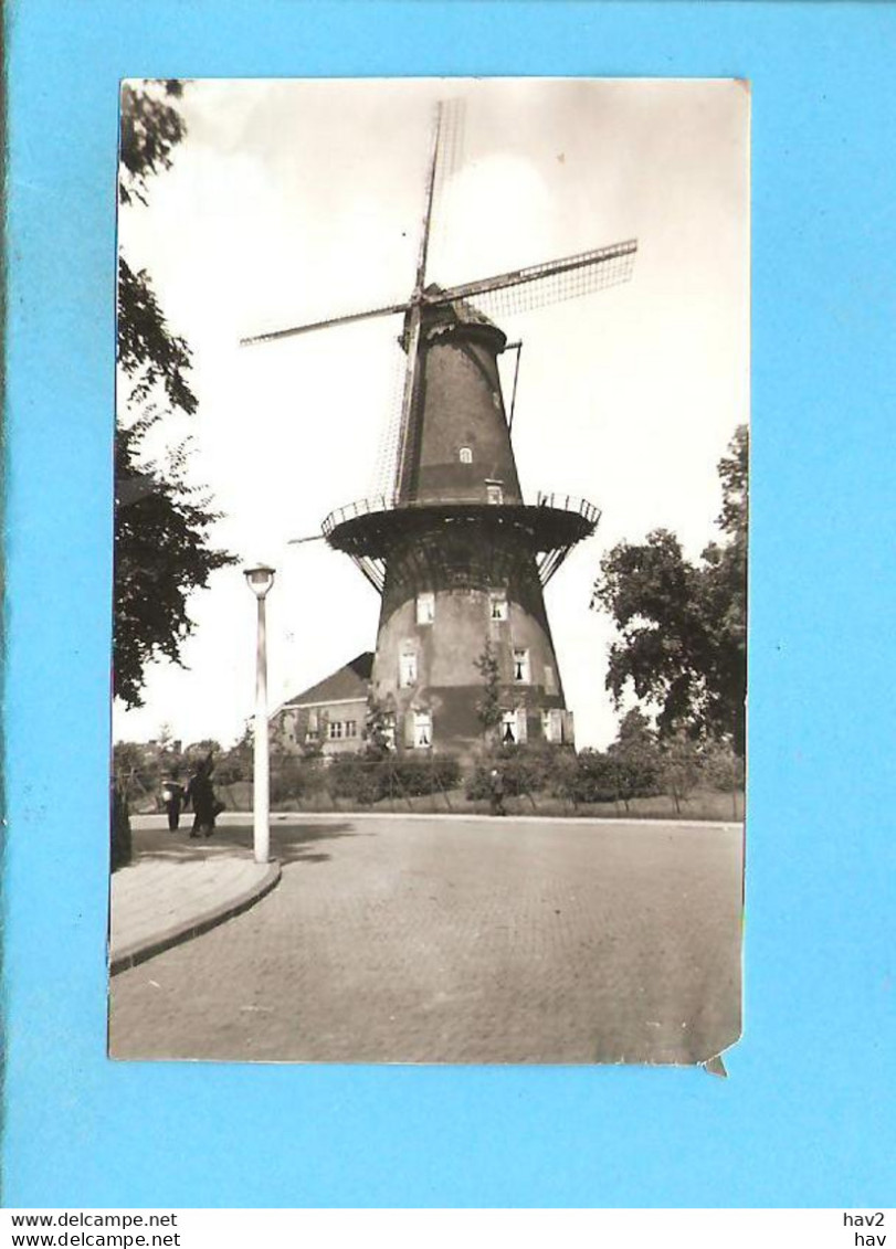 Leiden Molen  Foto/repro ML2517 - Leiden