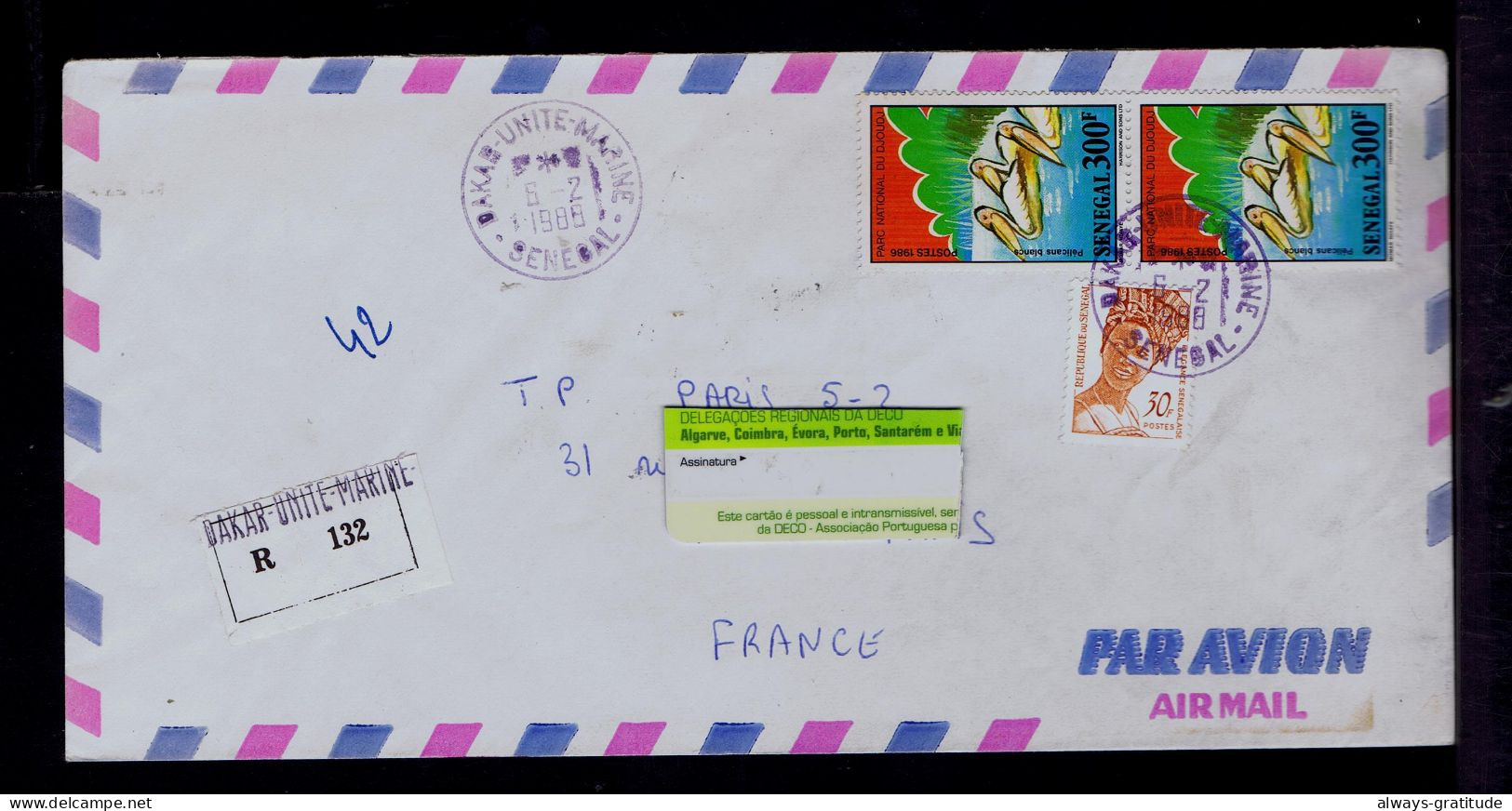 Sp9929 SENEGAL White Pélicans 2x Birds Ducks Oiseaux Costumes Hair-stylist Mailed 1988 France - Pellicani