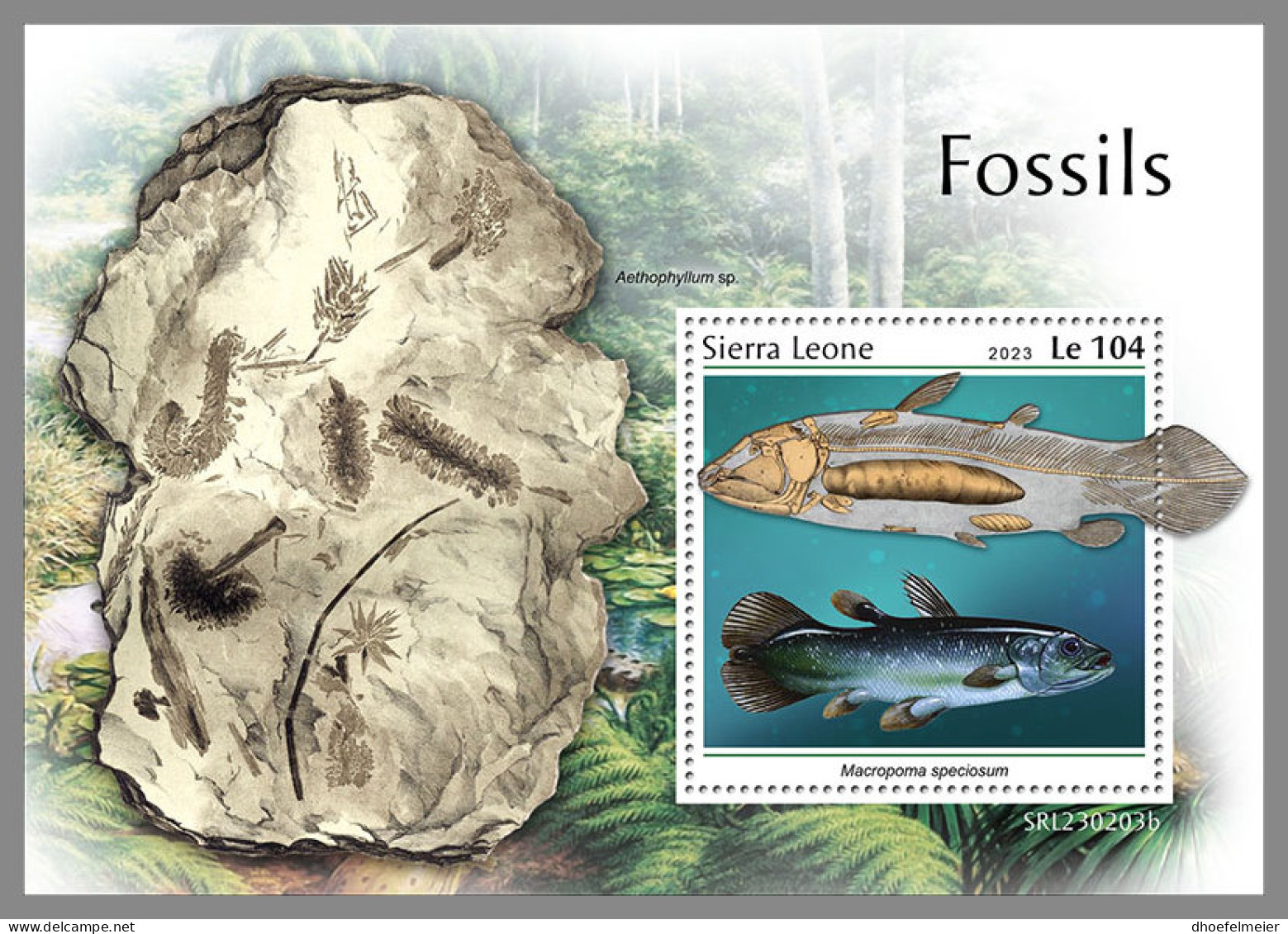 SIERRA LEONE 2023 MNH Fossils Fossilien Fossiles S/S - IMPERFORATED - DHQ2334 - Fossils