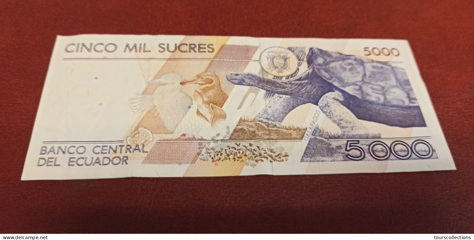 BILLET EQUATEUR 5000 SUCRES De 1995 - Juan Montalvo - PICK 128b - ECUADOR - Equateur