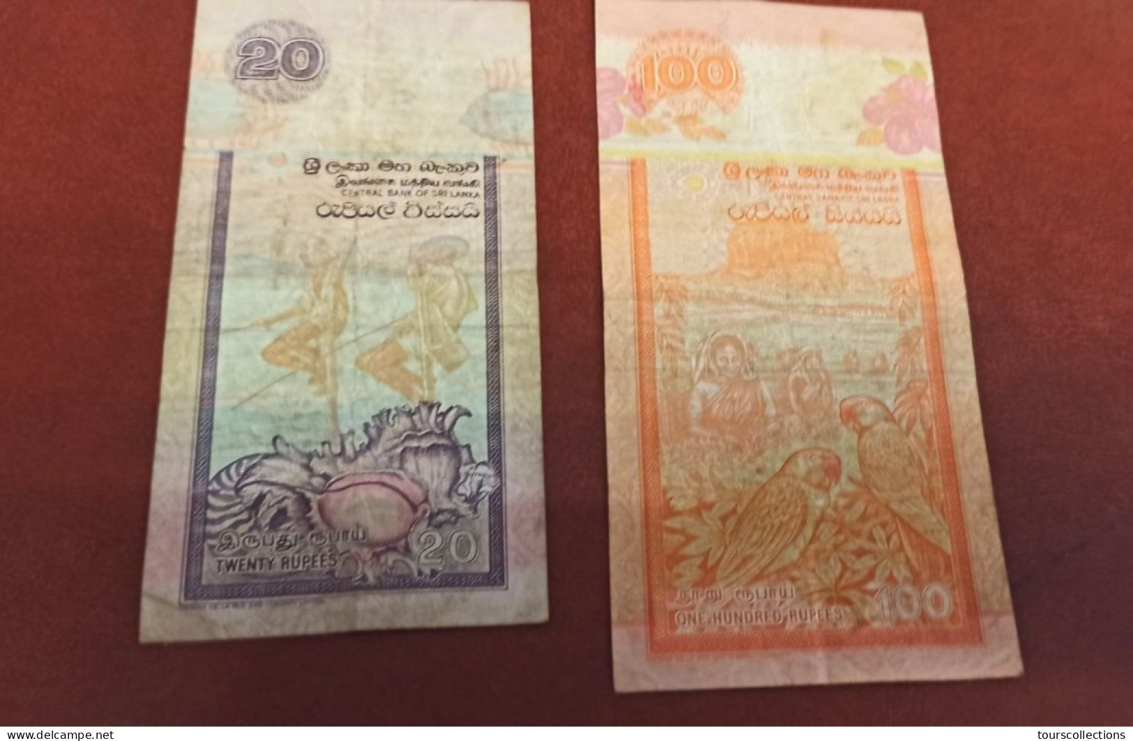 LOT 2 BILLETS Du SRI LANKA De 1995 - 20 Rupees Et 100 Rupees - PICK 109 : Masque Et PICK 111 : Perroquet - Sri Lanka