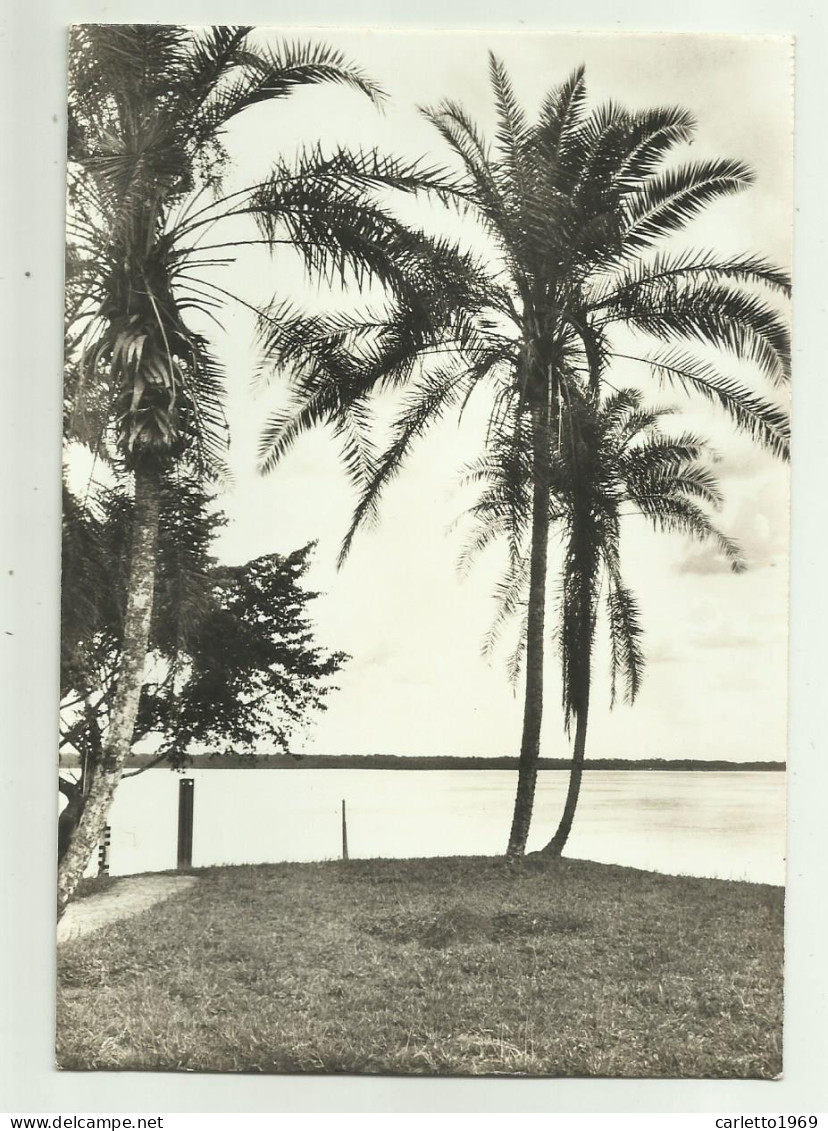 PAYSAGE SUR LE FLEUVE CONGO, STANLEYVILLE - PHOTO A. MELO - NV FG - Autres & Non Classés