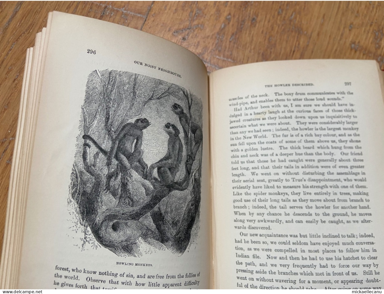 On the banks of the Amazon - W. H. G. Kingston - 1894  - livre en anglais