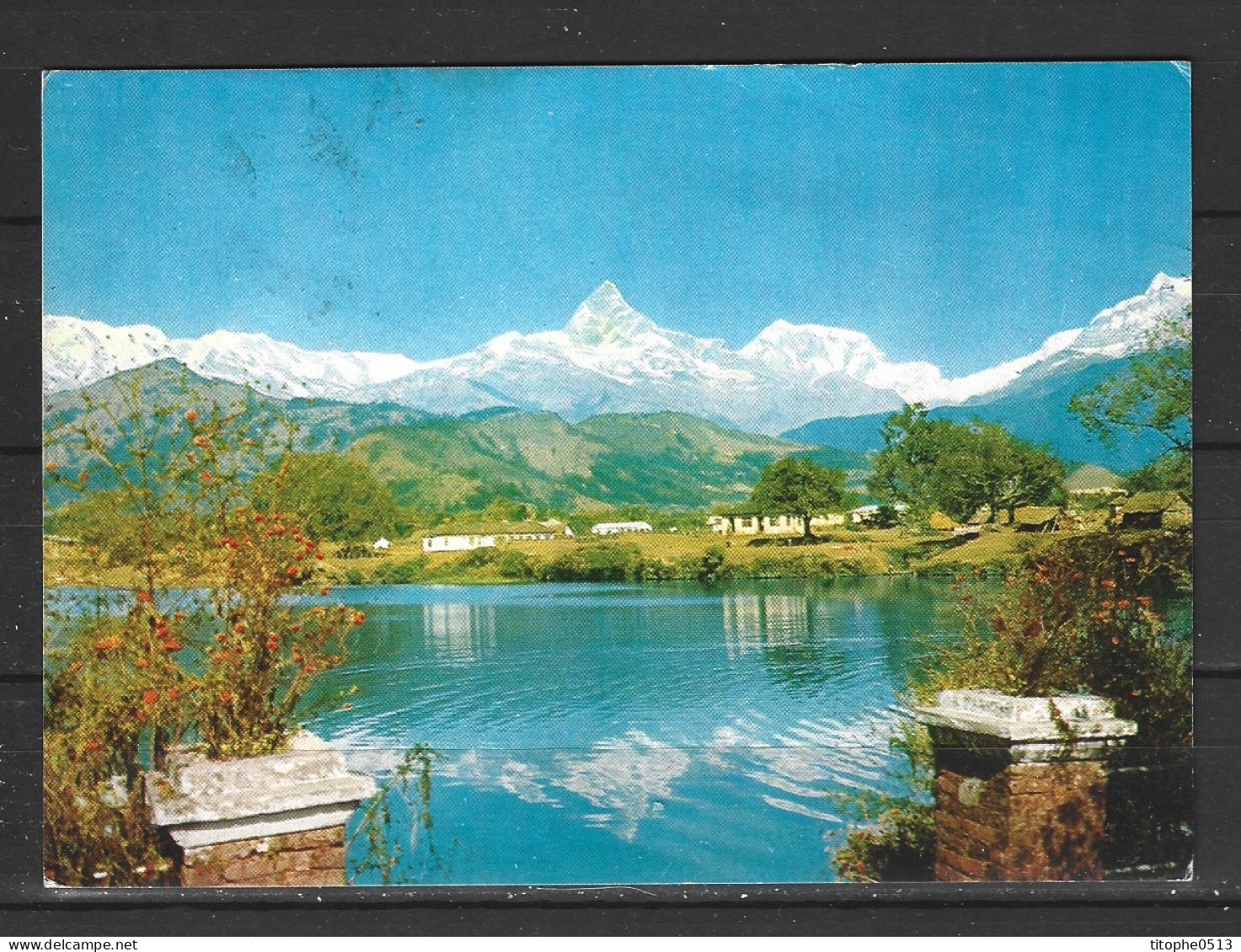 NEPAL. Carte Postale Ayant Circulé. Mont Machhapuchare. - Népal